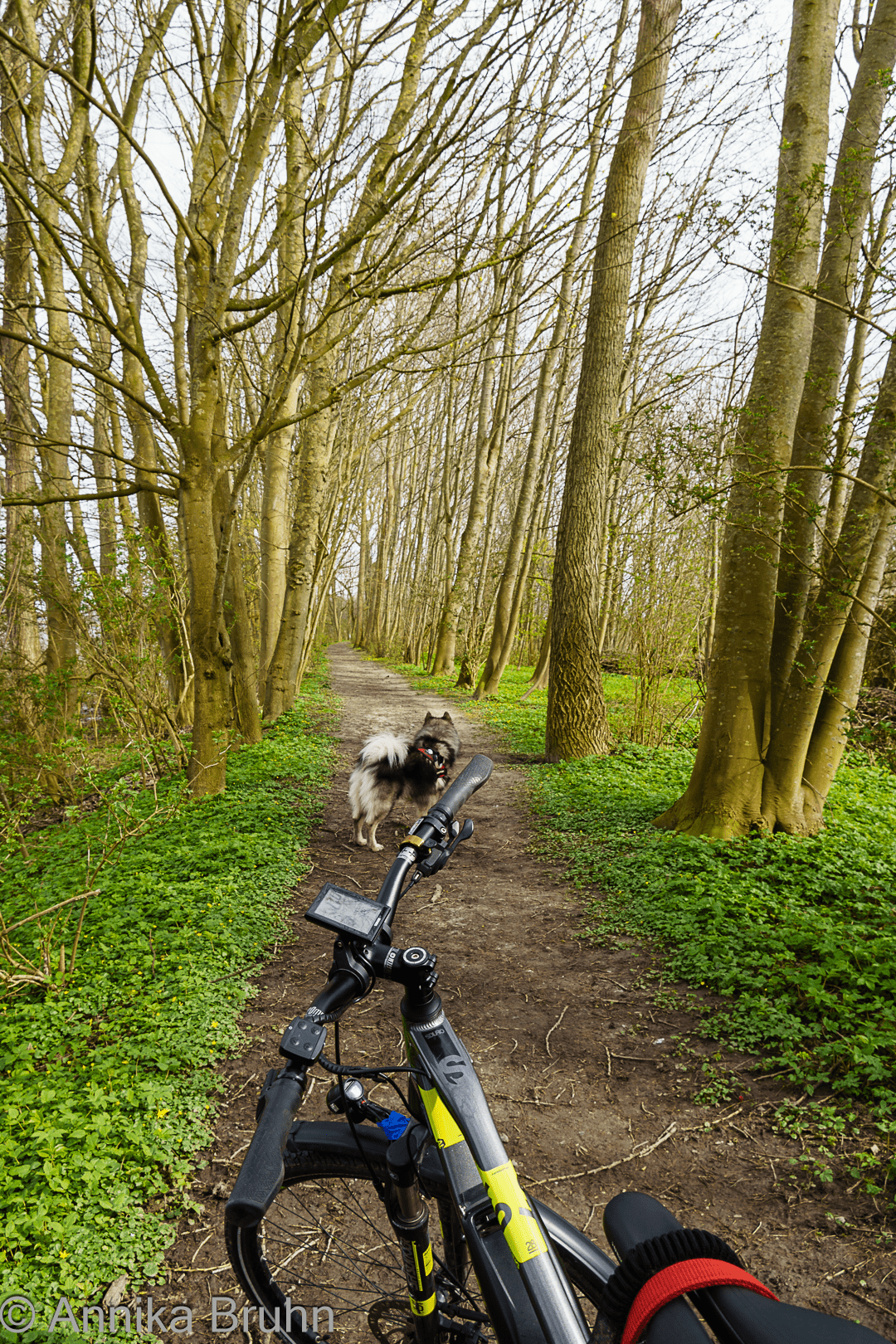 Kleine Radtour an der Treene entlang mitten durch den Wald!